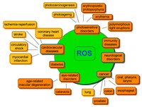 Nutrients 06 00466 g003 200