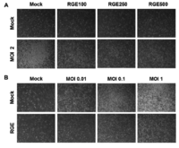 Nutrients 06 00517 g002 200