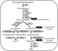 Nutrients 06 00546 g001 200