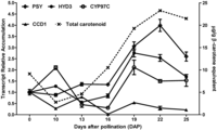 Nutrients 06 00546 g002 200