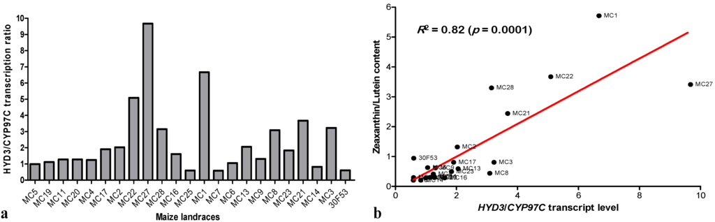 Nutrients 06 00546 g006 1024