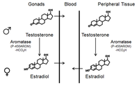Nutrients 06 00950 g005 200