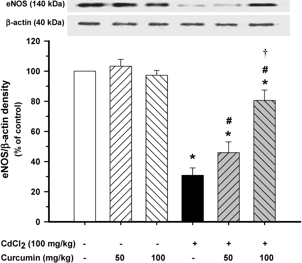 Nutrients 06 01194 g002 1024