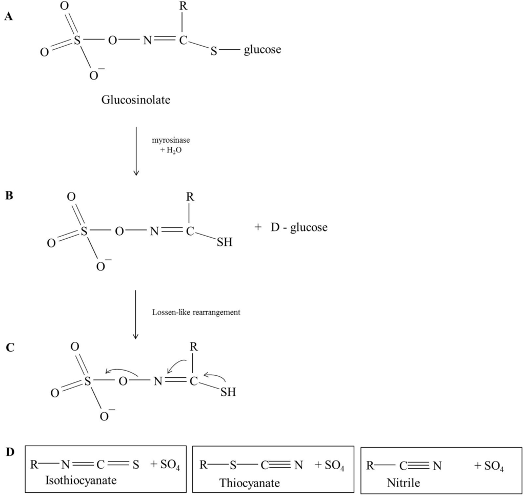 Nutrients 06 01519 g001 1024
