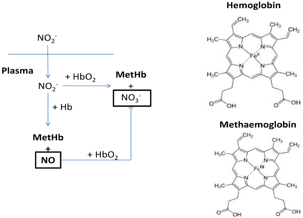 download serotonin and