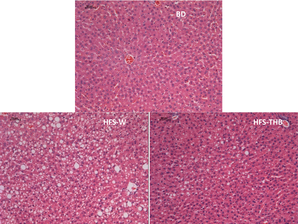Nutrients 06 01635 g002 1024