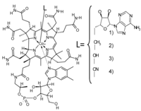 Nutrients 06 01861 g001 200