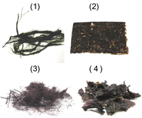 Nutrients 06 01861 g002 200
