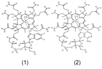 Nutrients 06 01861 g003 200