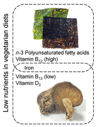 Nutrients 06 01861 g004 200