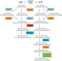 Nutrients 06 01993 g001 200