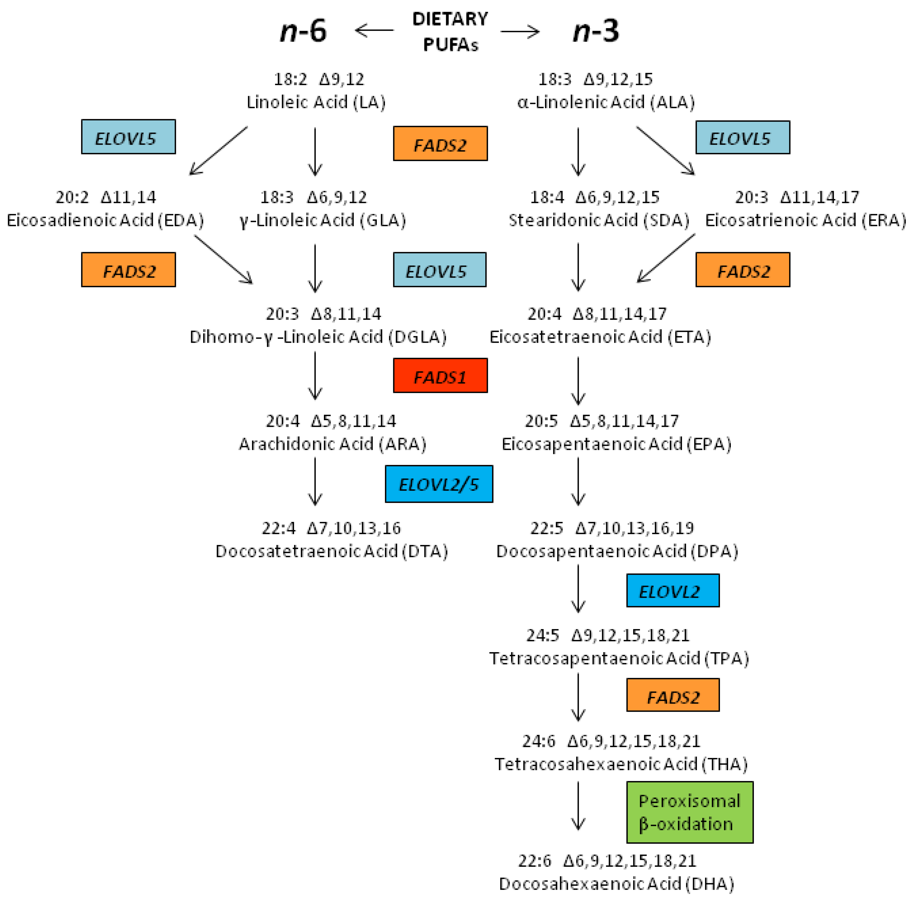 6 classes of nutrients