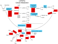 Nutrients 06 01993 g002 200