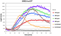 Nutrients 06 02077 g001 200