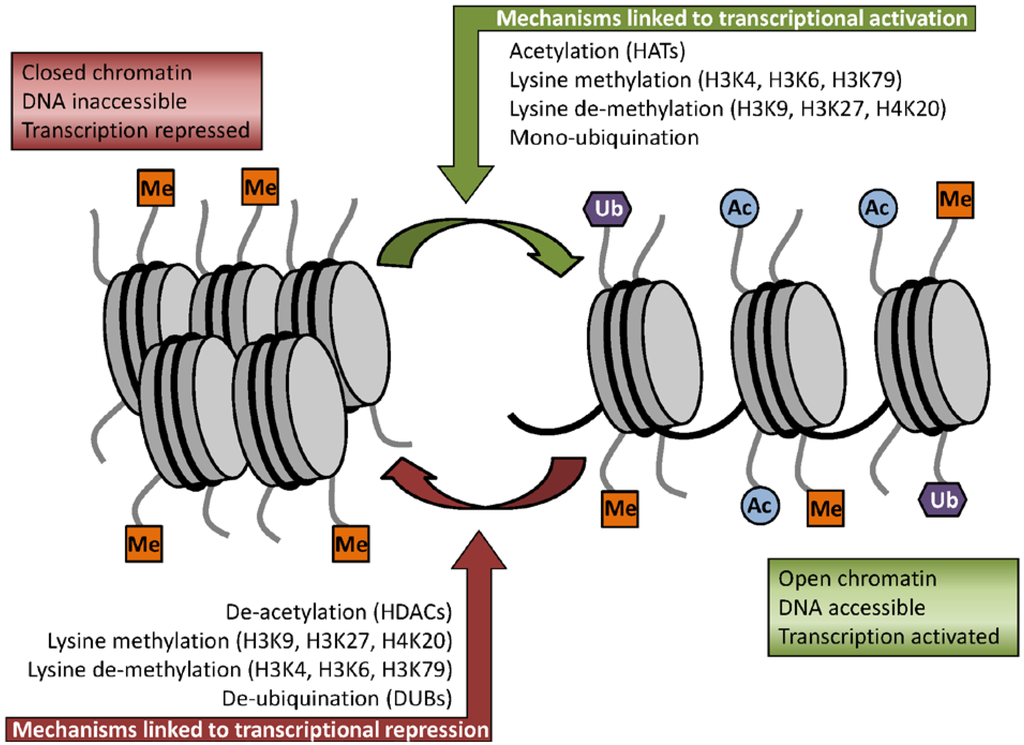 download directed enzyme evolution