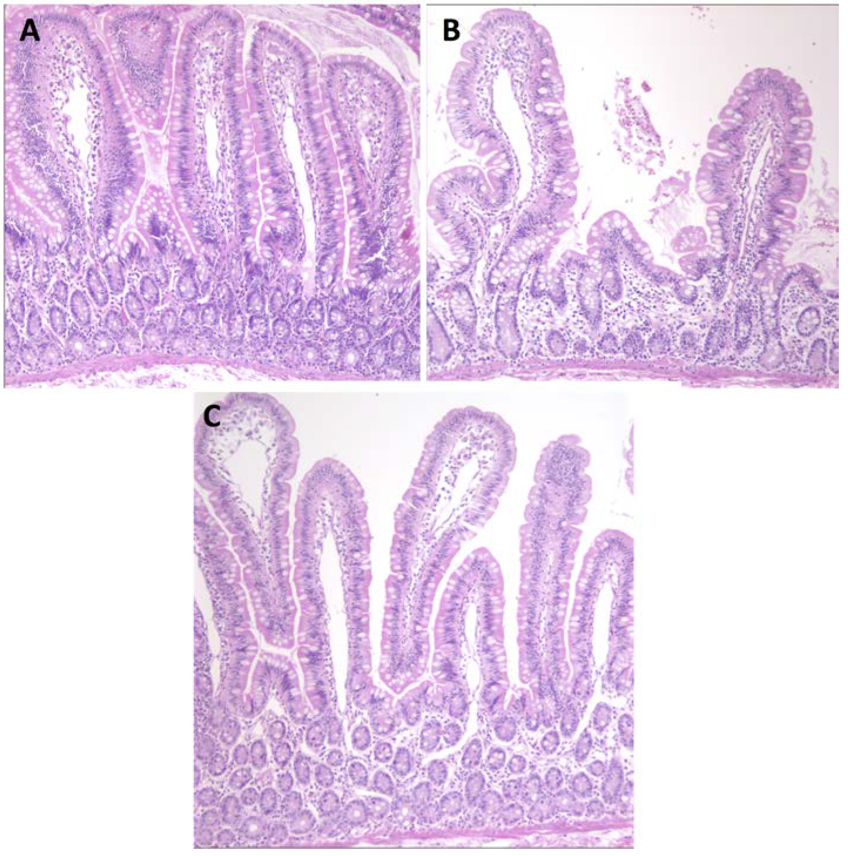 Nutrients 07 01657 g002