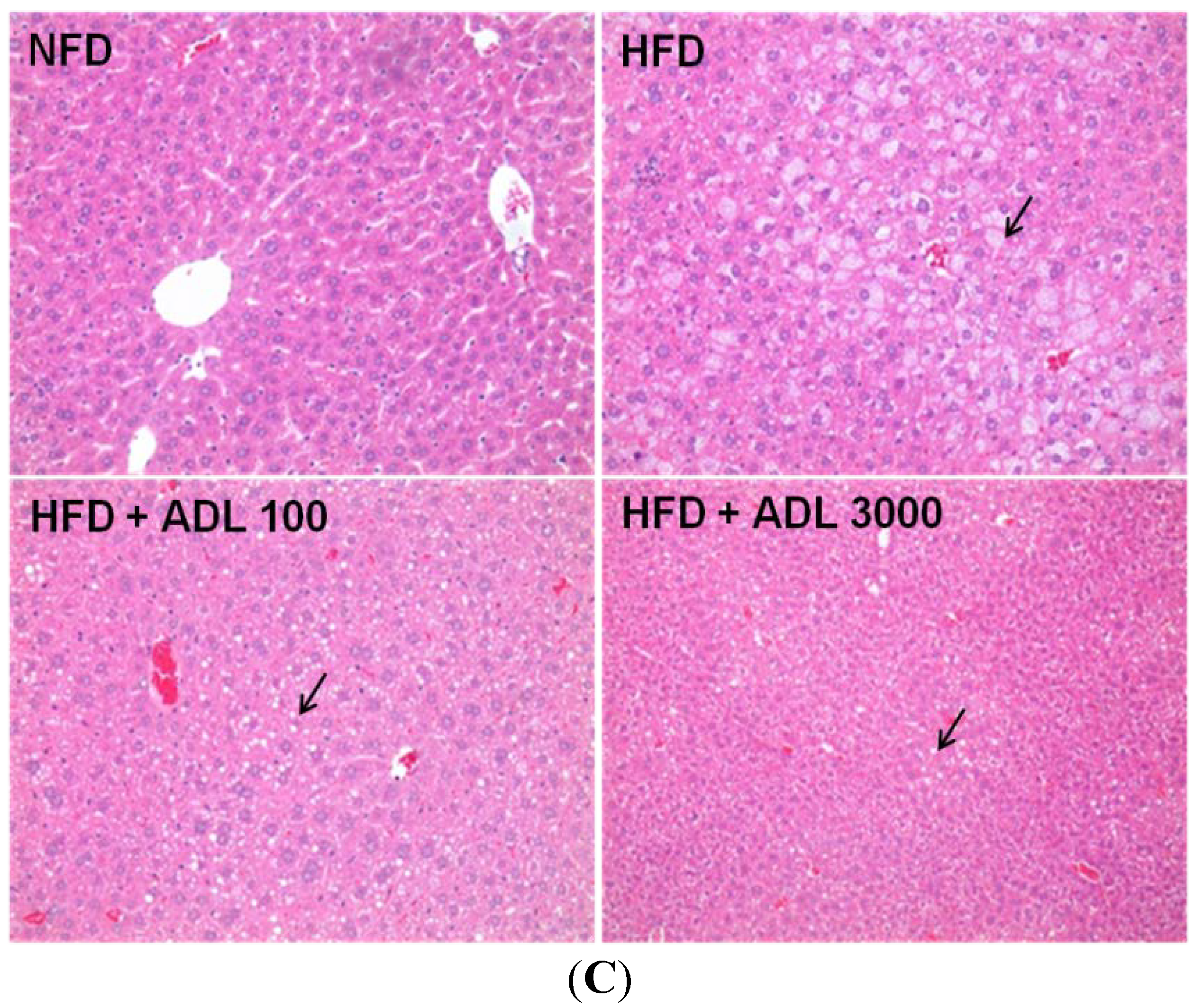 Nutrients 07 01978 g001b