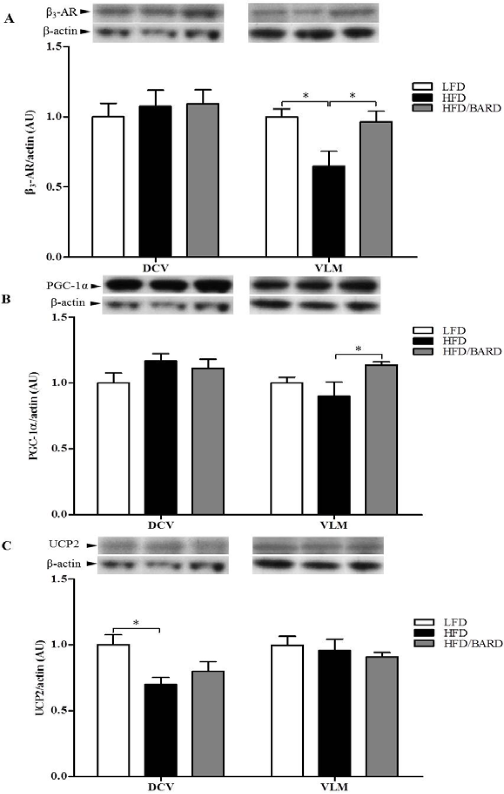 Moins Cher 5 mg Accutane En Ligne