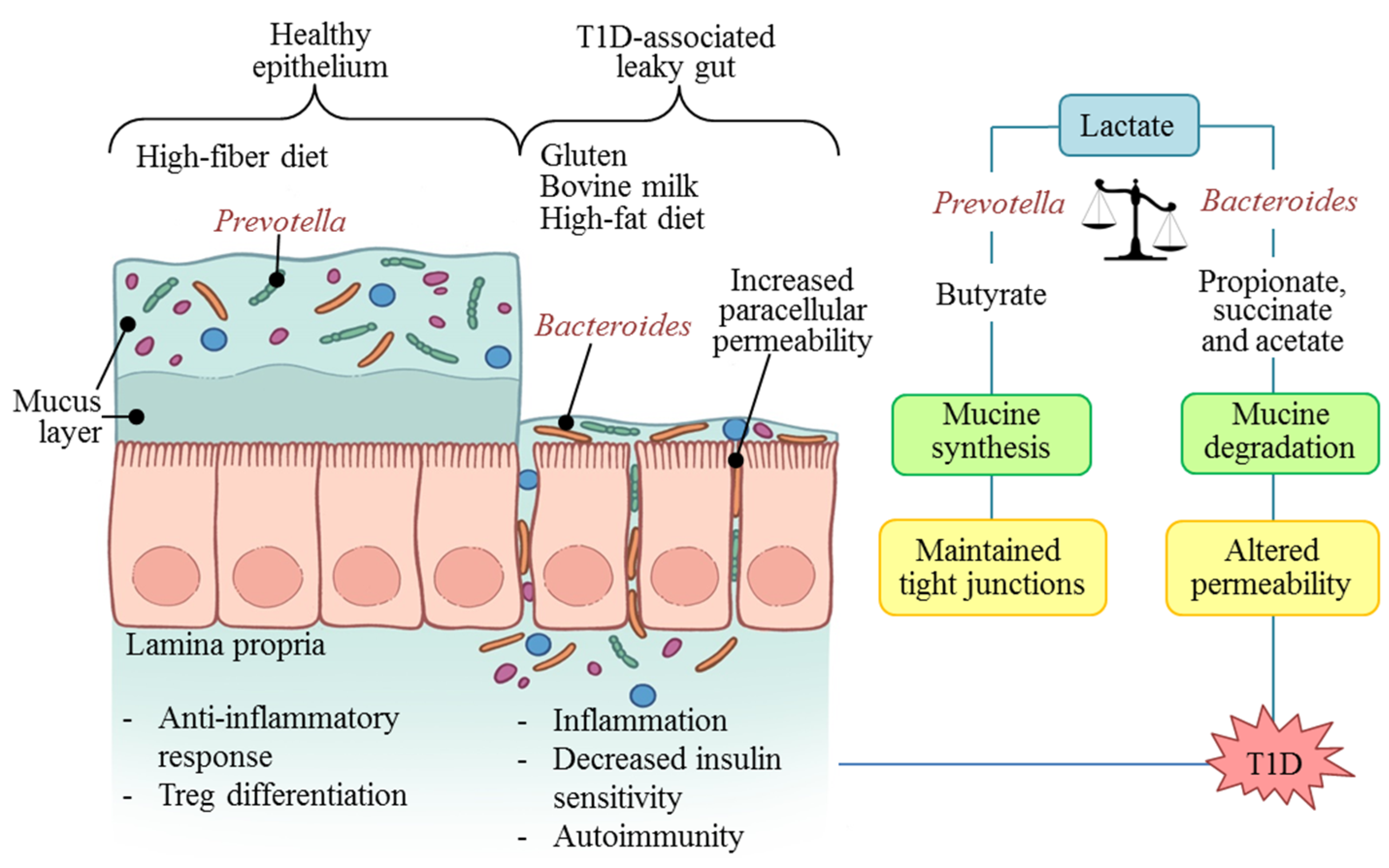 book haemostasis