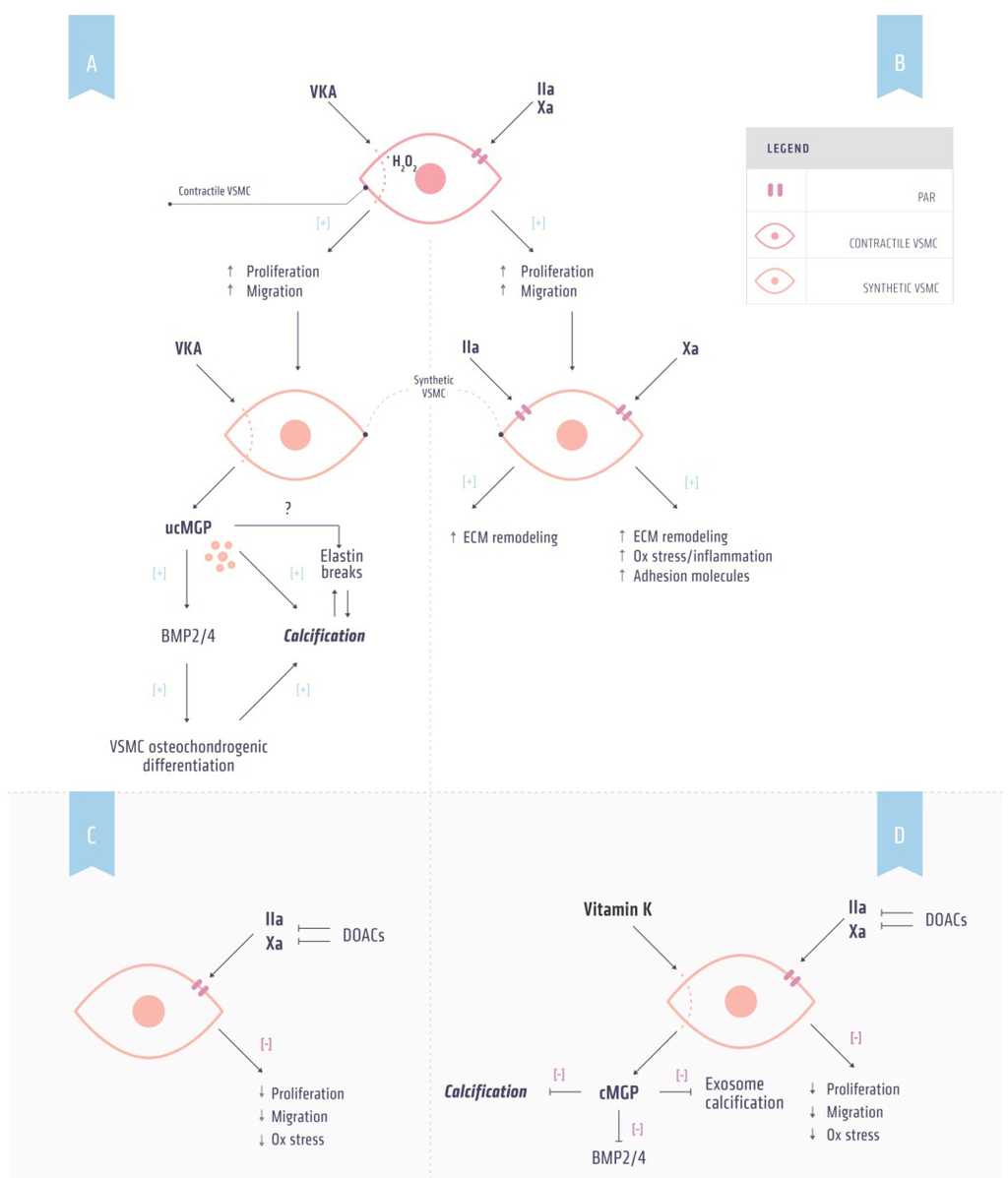 gene doping essay gene doping essay