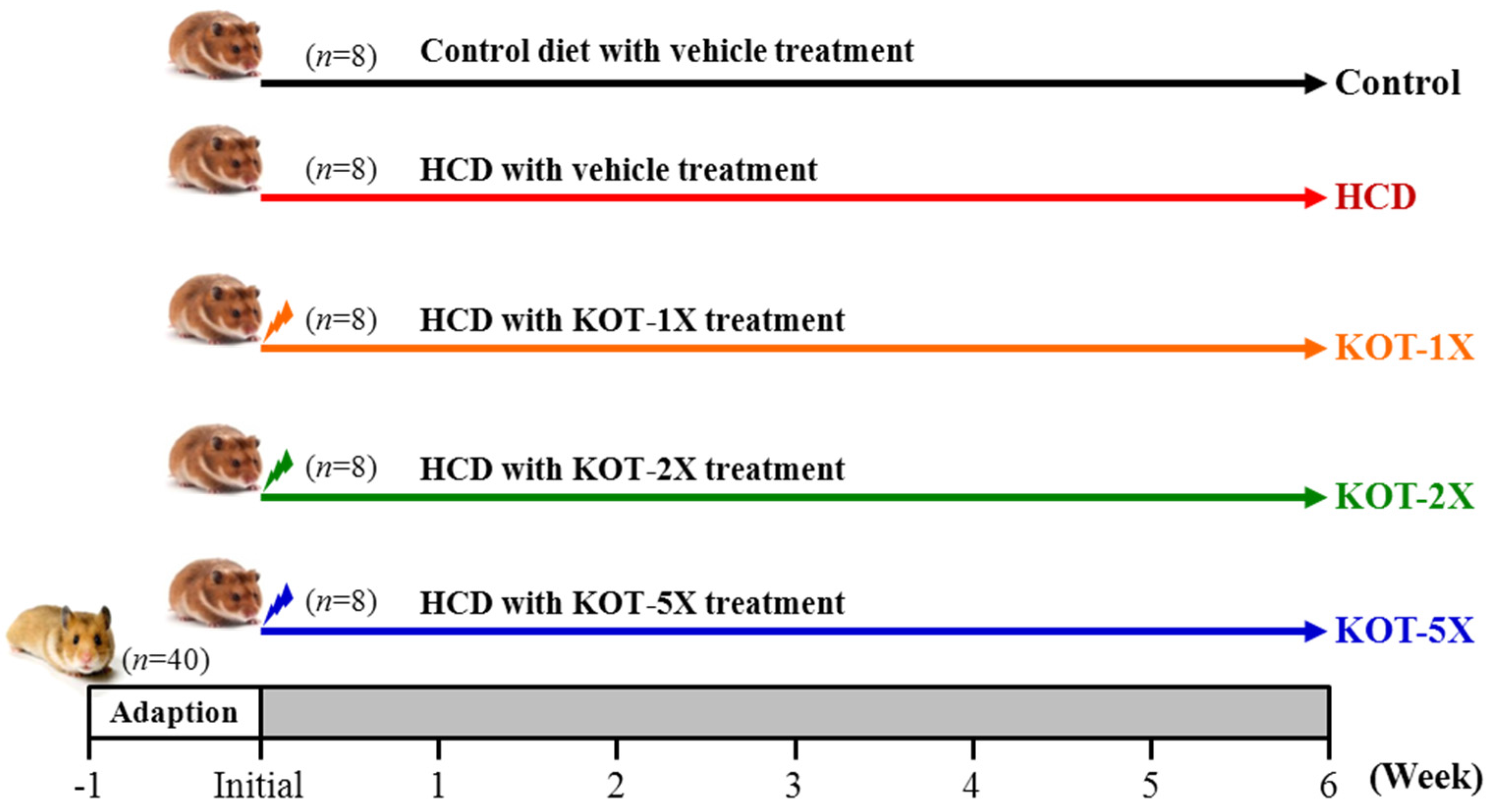 Nutrients 07 05552 g001