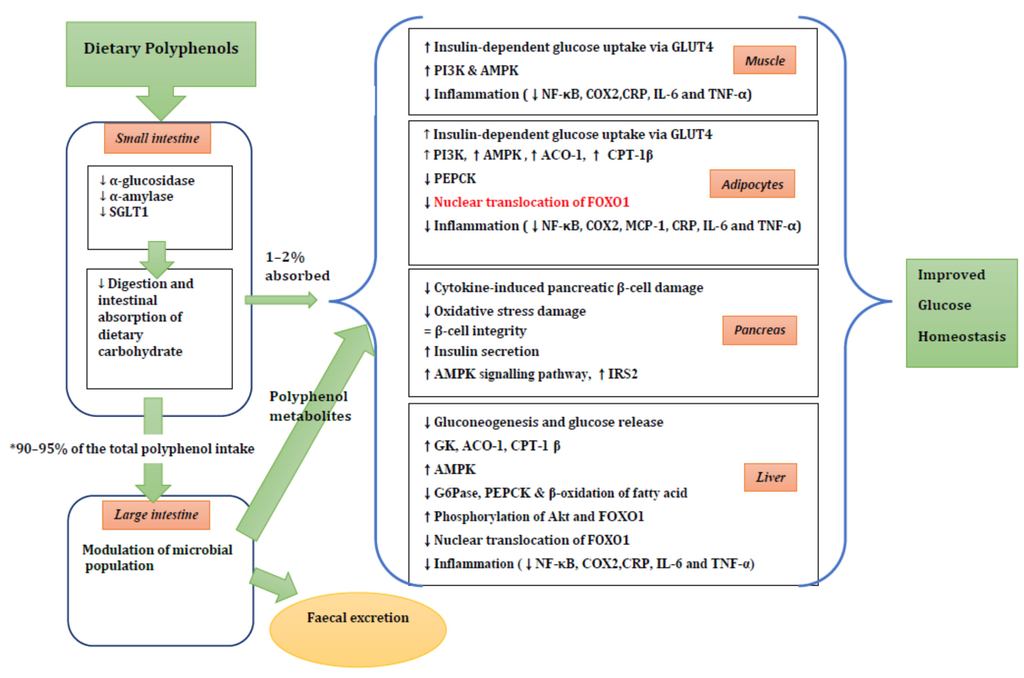 Nutrients 08 00017 g002 1024