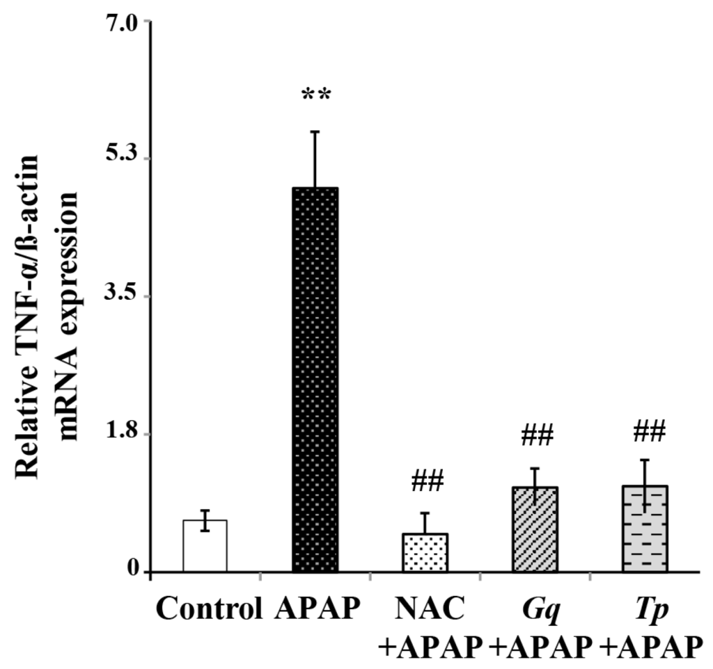 the preparation of acetaminophen paracetamol with Paracetamol oral suspension is a suspension of paracetamol in a suitable flavoured vehicle it contains not less than 900% and not more than 1100% of the amount of paracetamol (c8h9no2) stated on the label identity tests a carry out test a1 or, where uv detection is not available, test a2. the preparation of acetaminophen paracetamol with Paracetamol oral suspension is a suspension of paracetamol in a suitable flavoured vehicle it contains not less than 900% and not more than 1100% of the amount of paracetamol (c8h9no2) stated on the label identity tests a carry out test a1 or, where uv detection is not available, test a2.