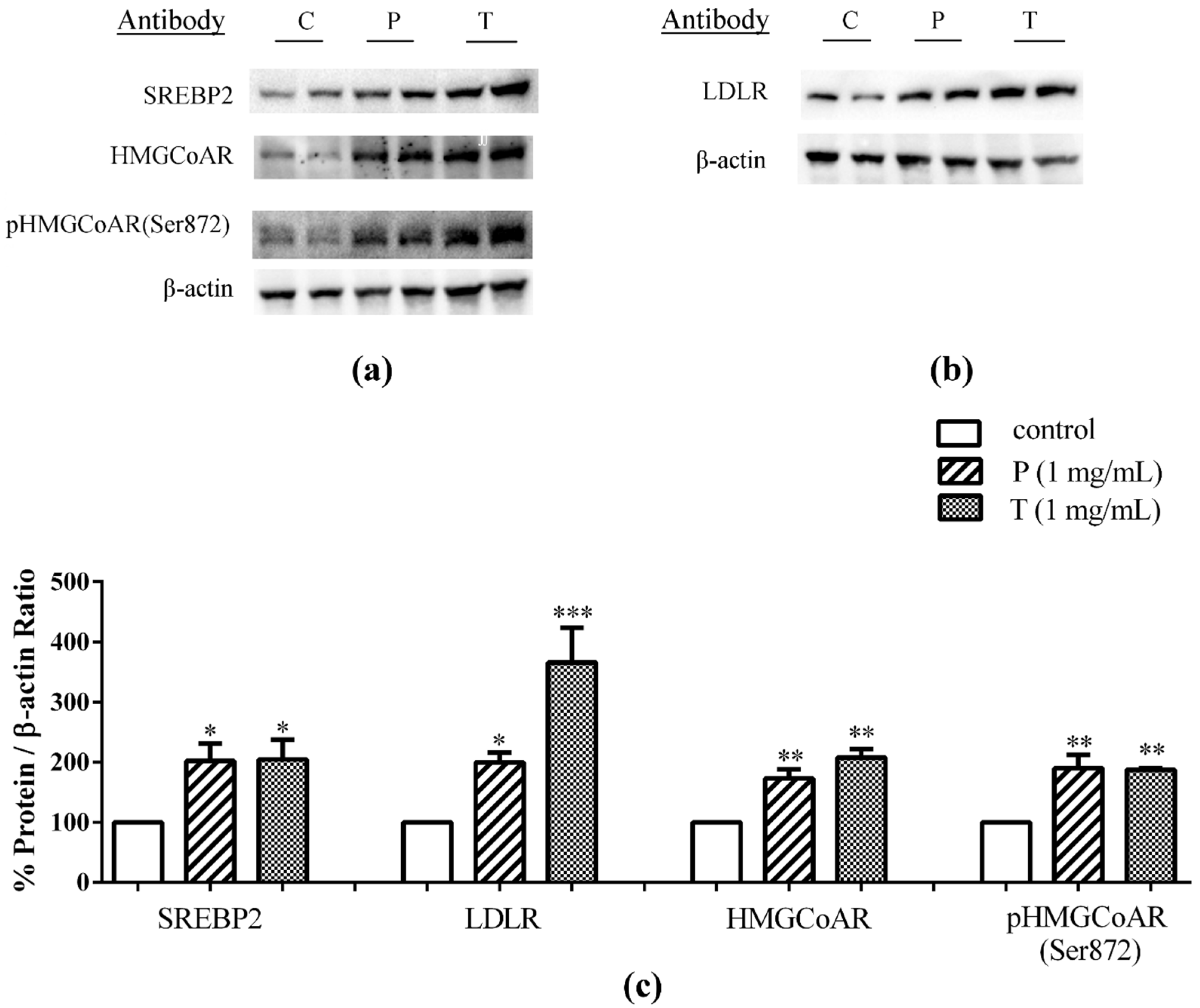 Nutrients 08 00437 g002