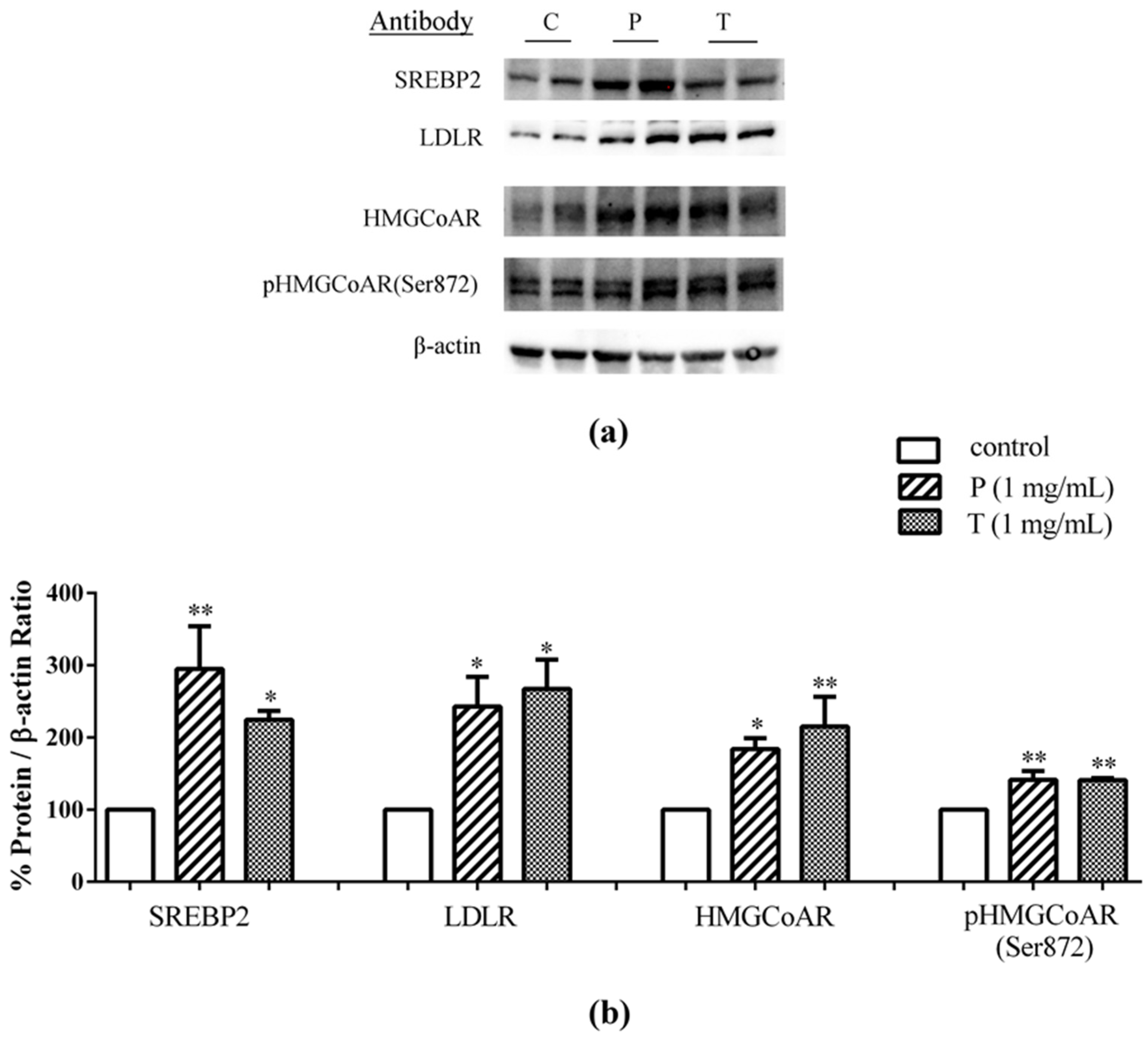 Nutrients 08 00437 g003