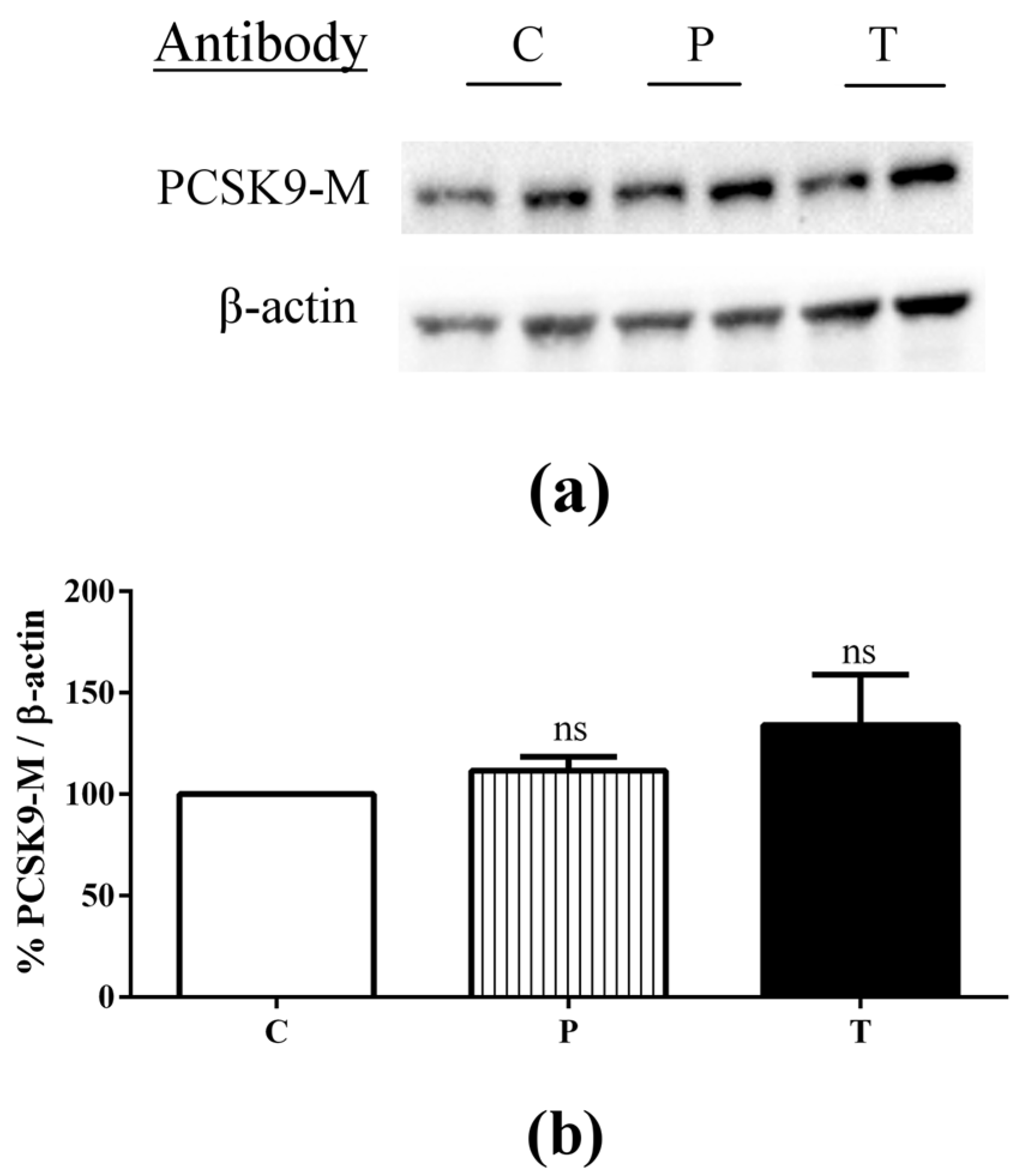 Nutrients 08 00437 g005
