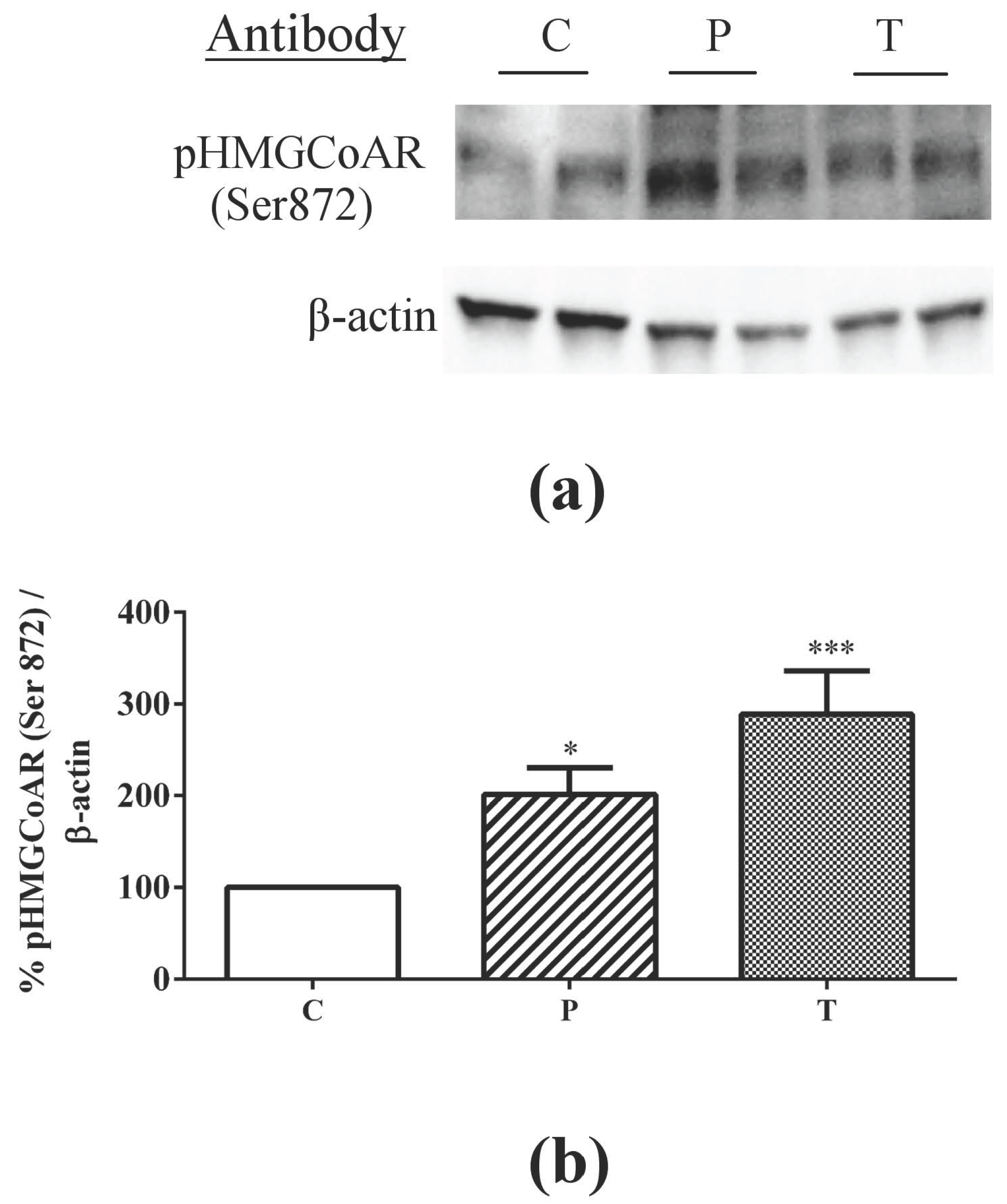 Nutrients 08 00437 g006