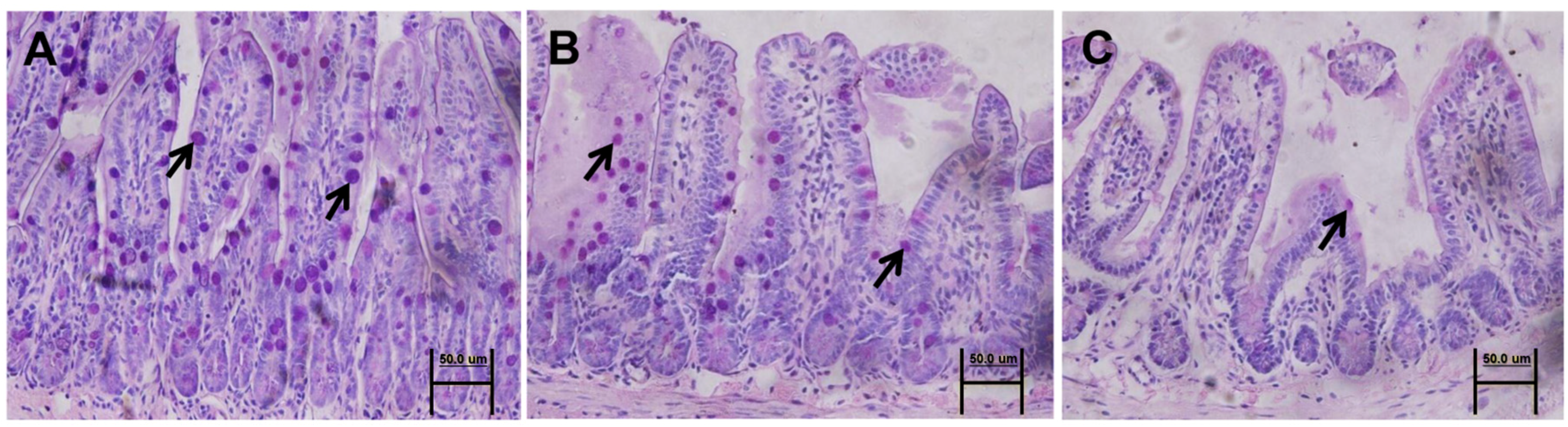 Nutrients 08 00609 g004a
