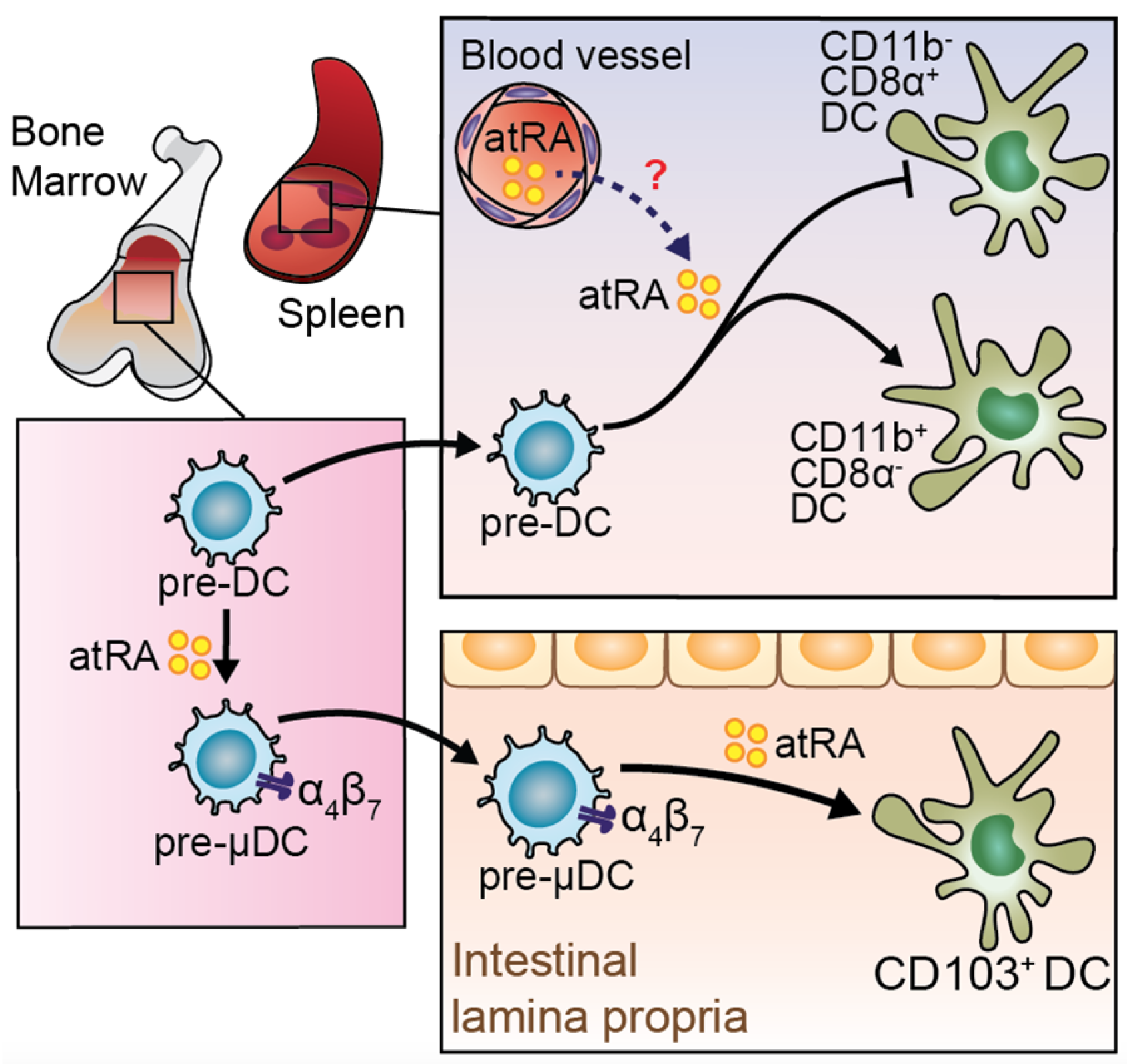 Nutrients 09 00068 g001