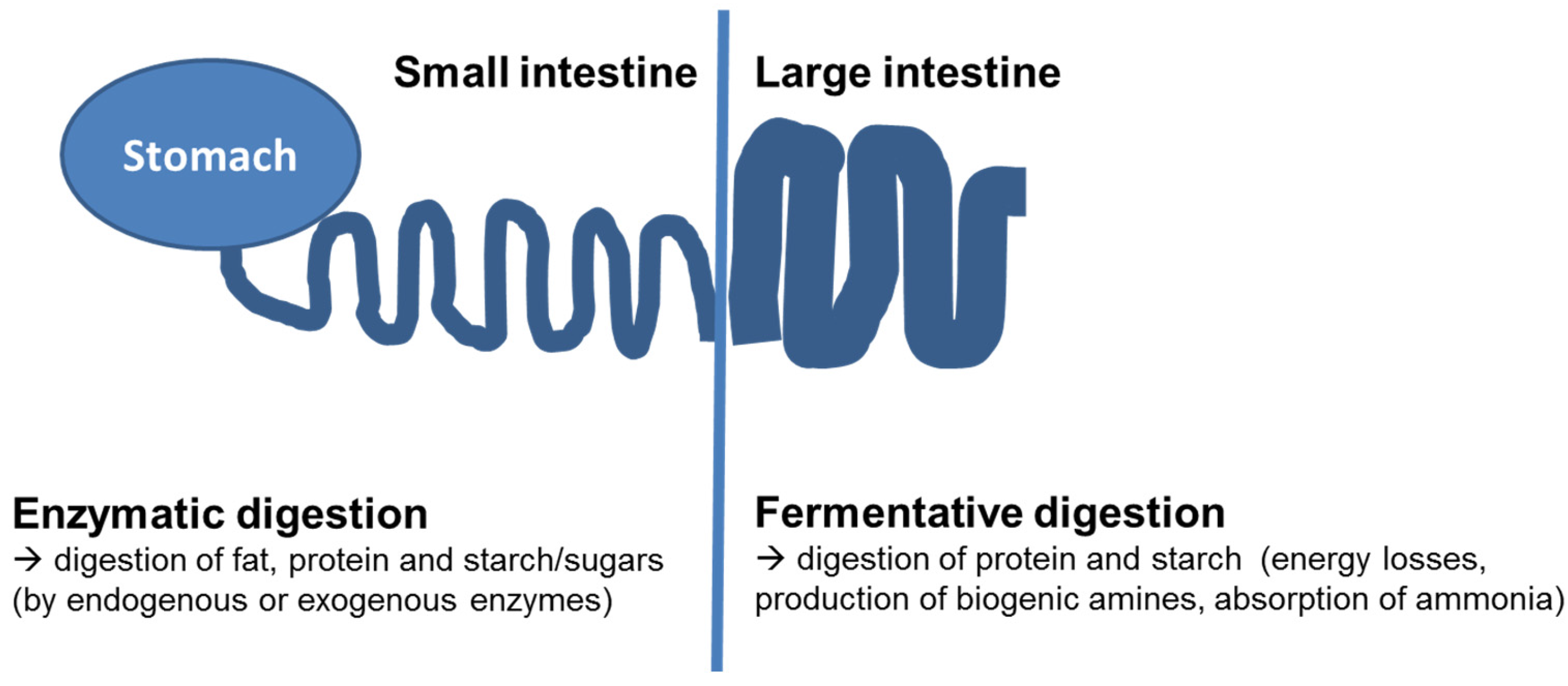 Nutrients 09 00150 g001