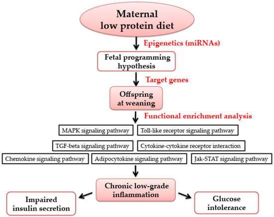 Sample Glucose Intolerance Diet