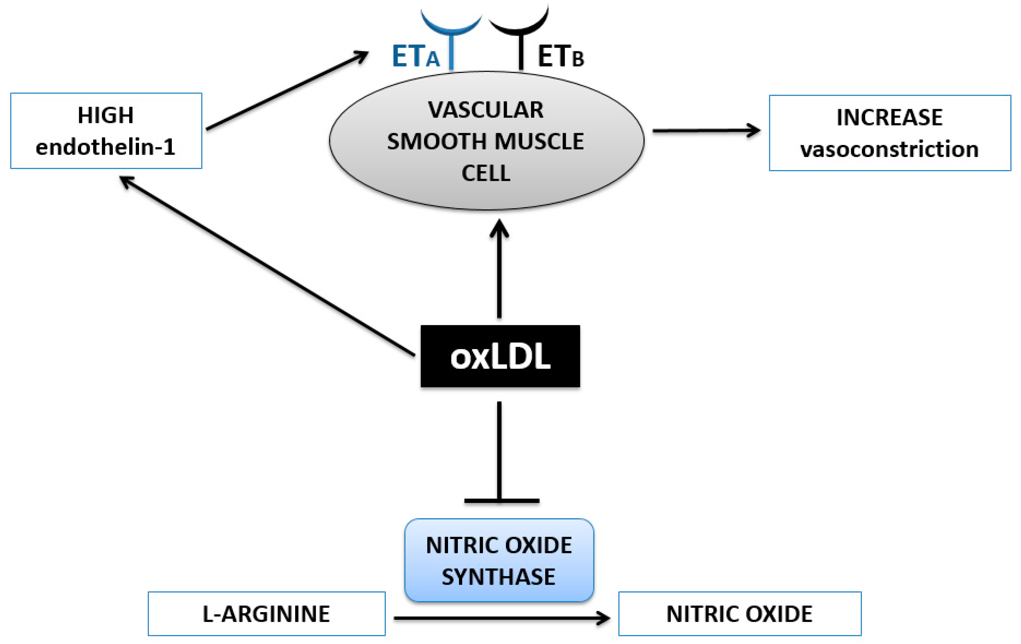 Nutrients 09 00859 g004