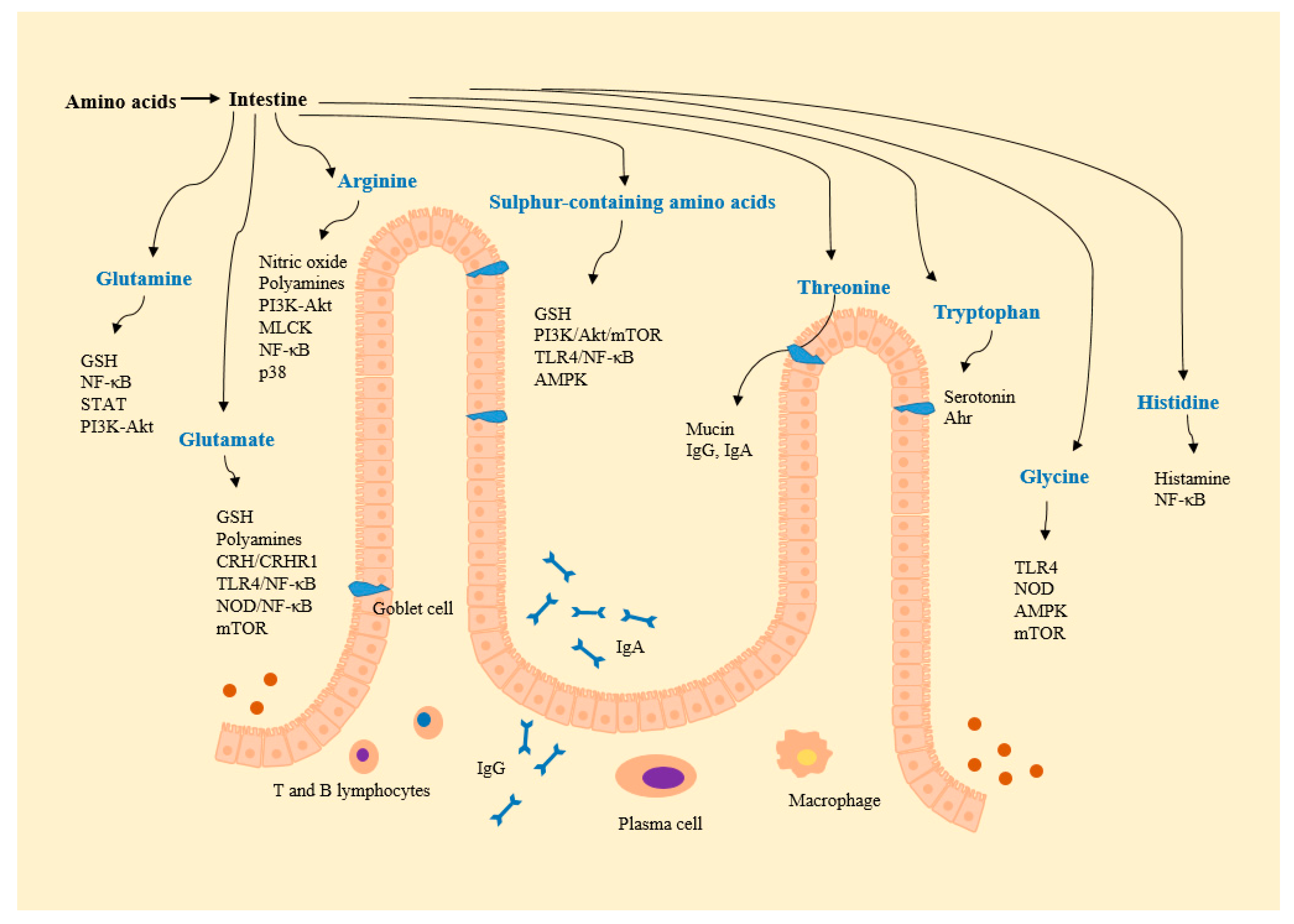 Nutrients 09 00920 g002
