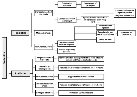 Effects of Probiotics, Prebiotics, and Synbiotics on Human Health