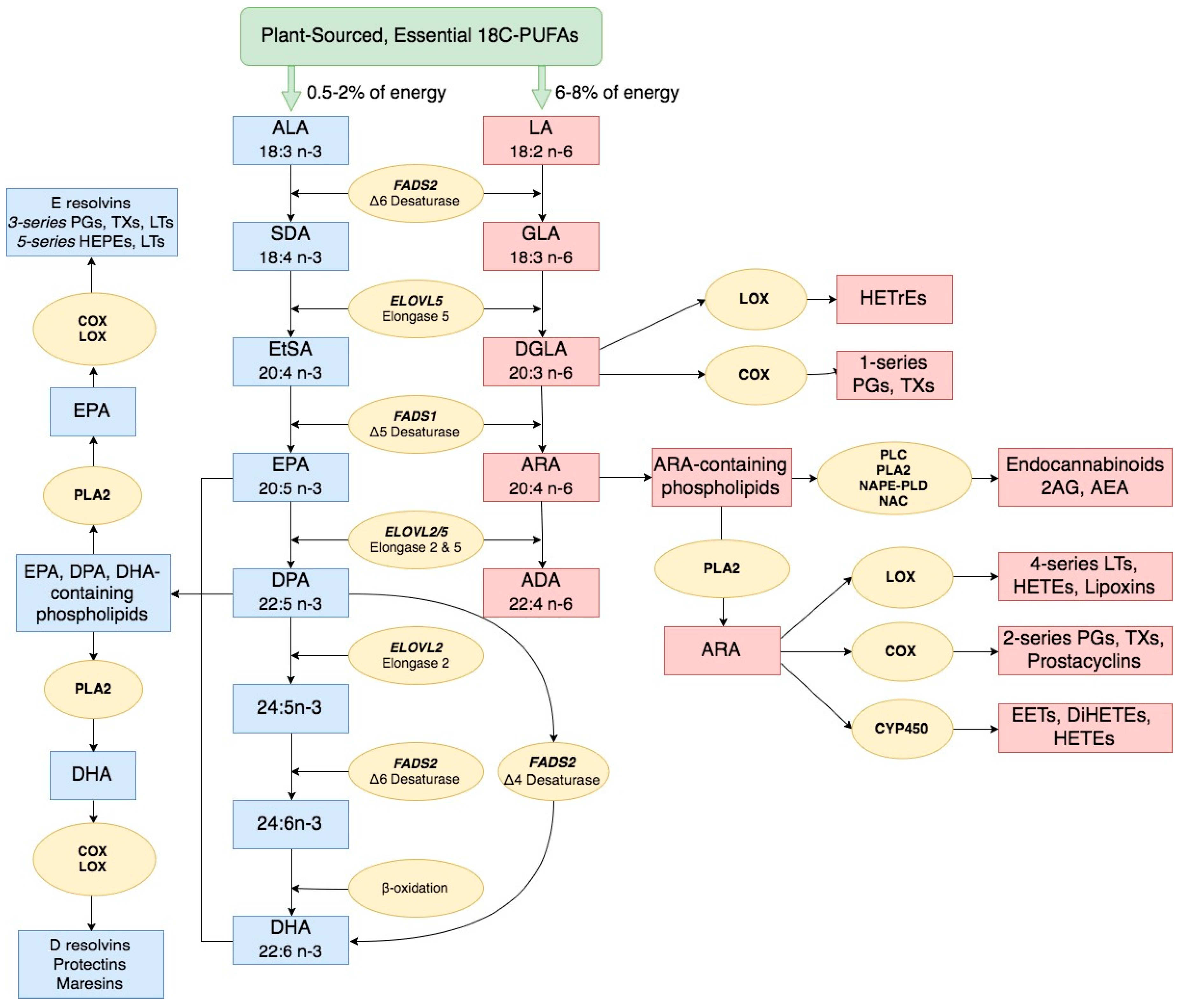 nutrients-09-01165-g001.png