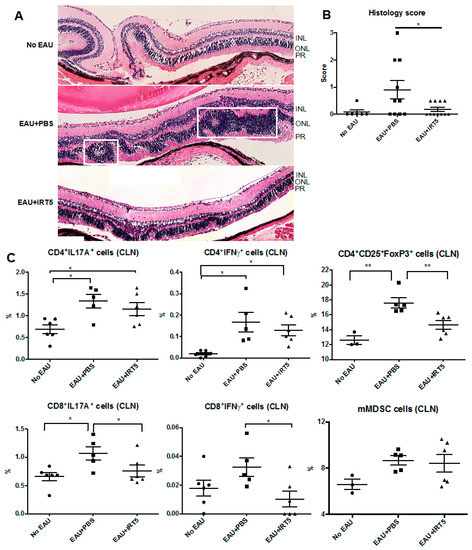 Clinical Effect of IRT-5 Probiotics on Immune Modulation of Autoimmunity or Alloimmunity in the Eye