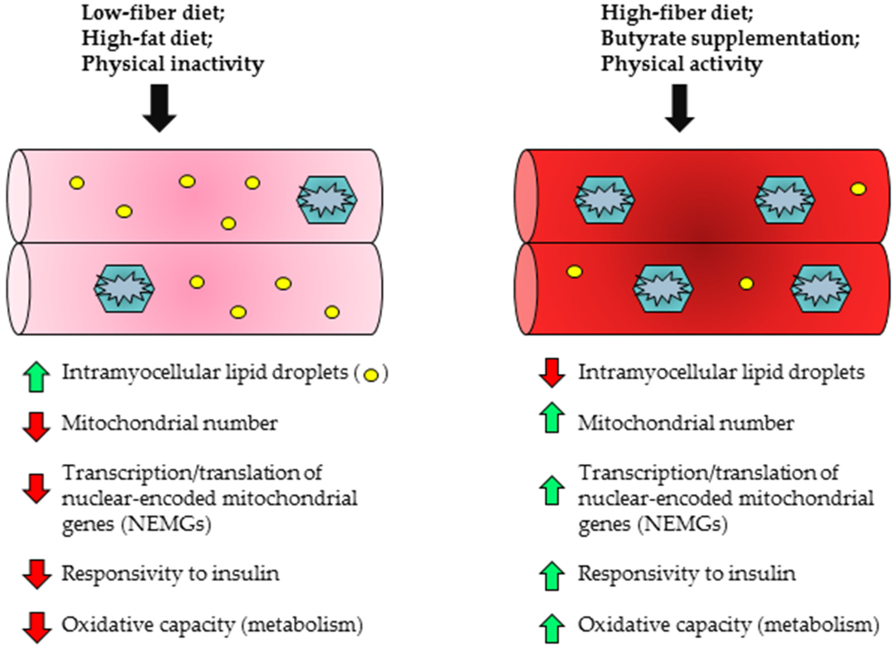 Nutrients 09 01348 g002