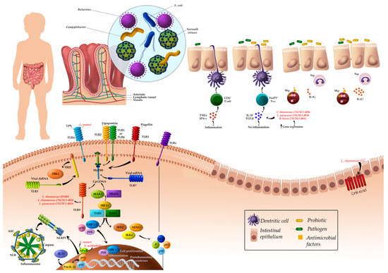 Immune-Mediated Mechanisms of Action of Probiotics and Synbiotics in Treating Pediatric Intestinal Diseases