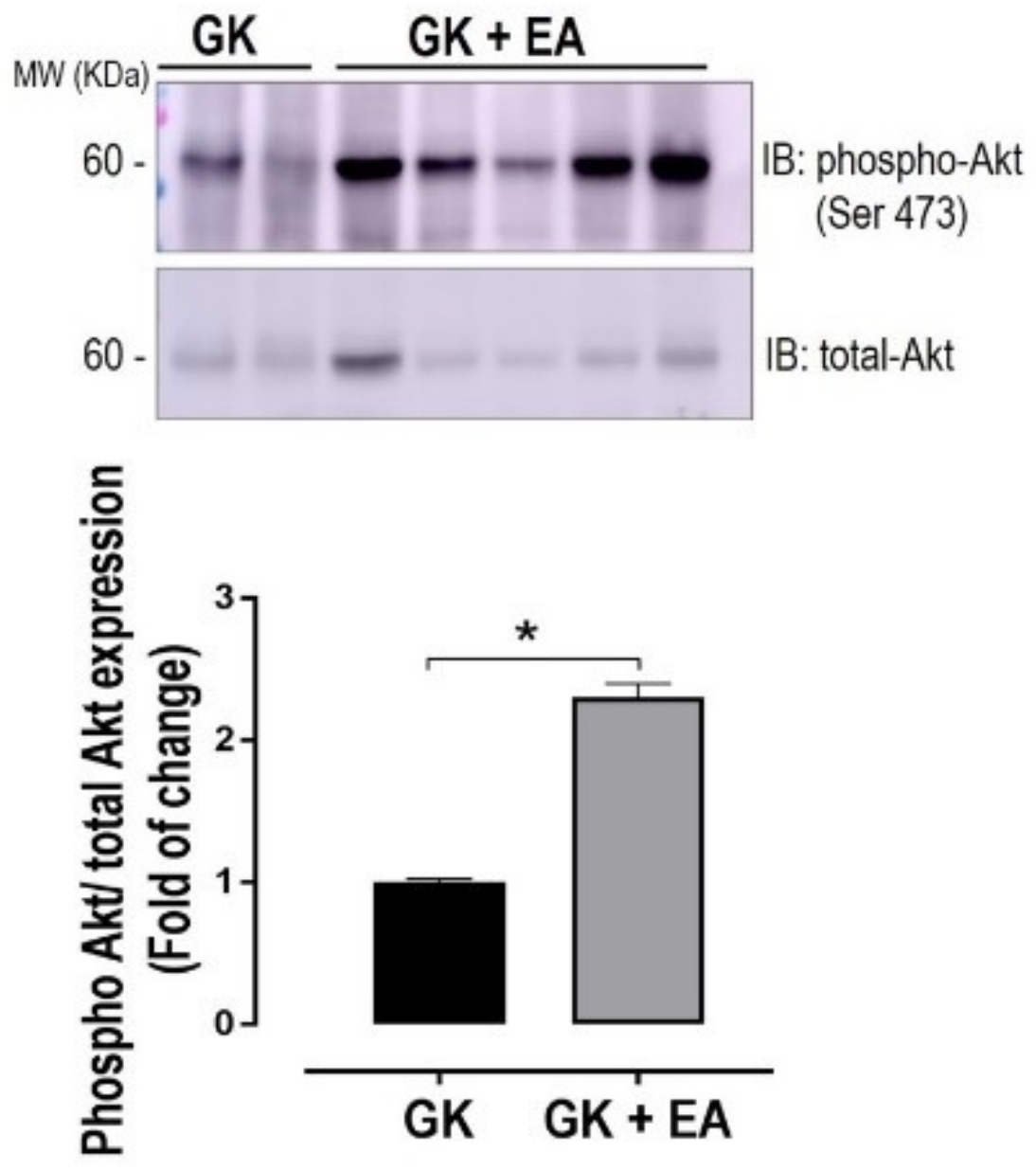 Nutrients 10 00531 g006