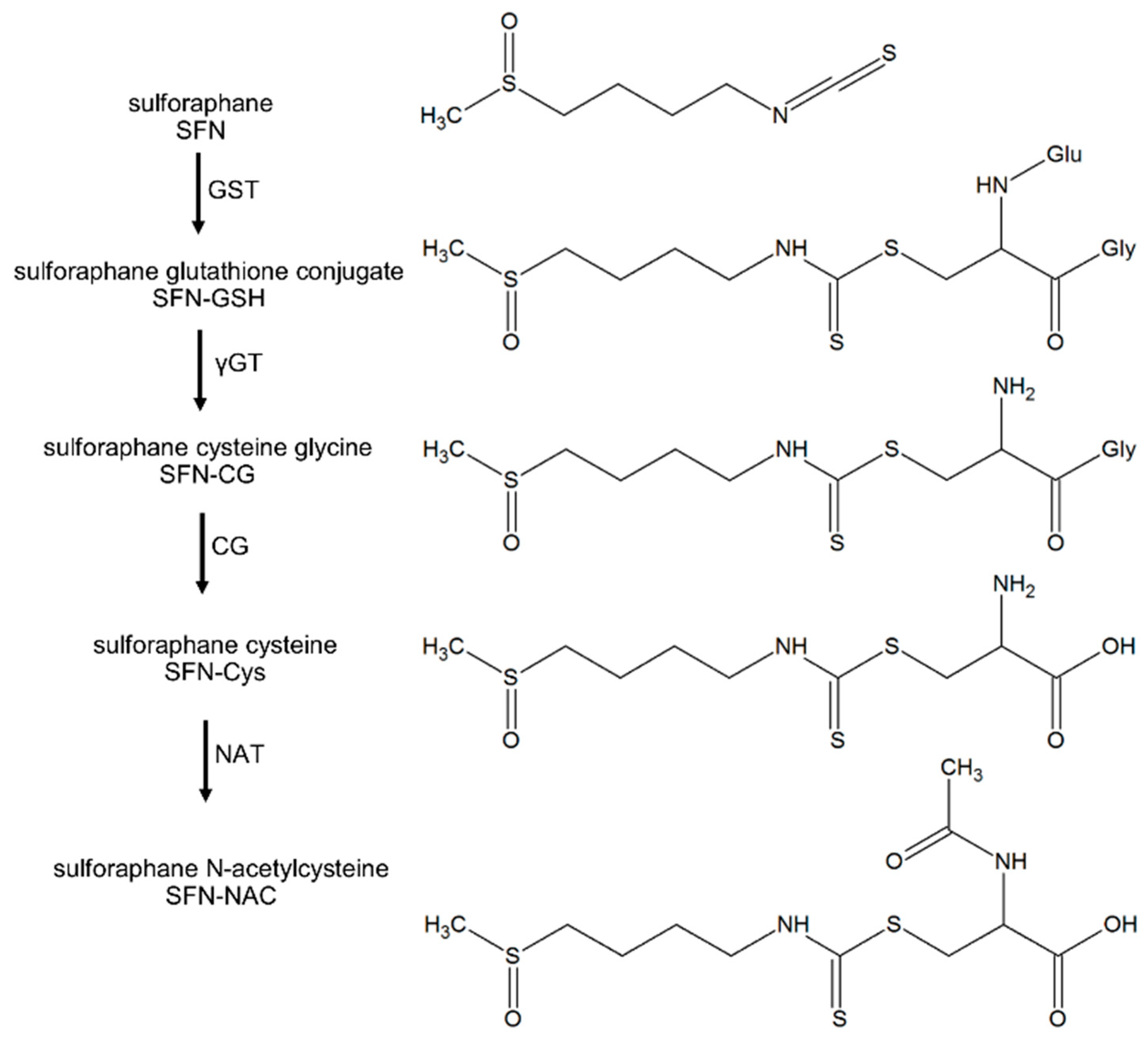 Nutrients 10 00585 g001