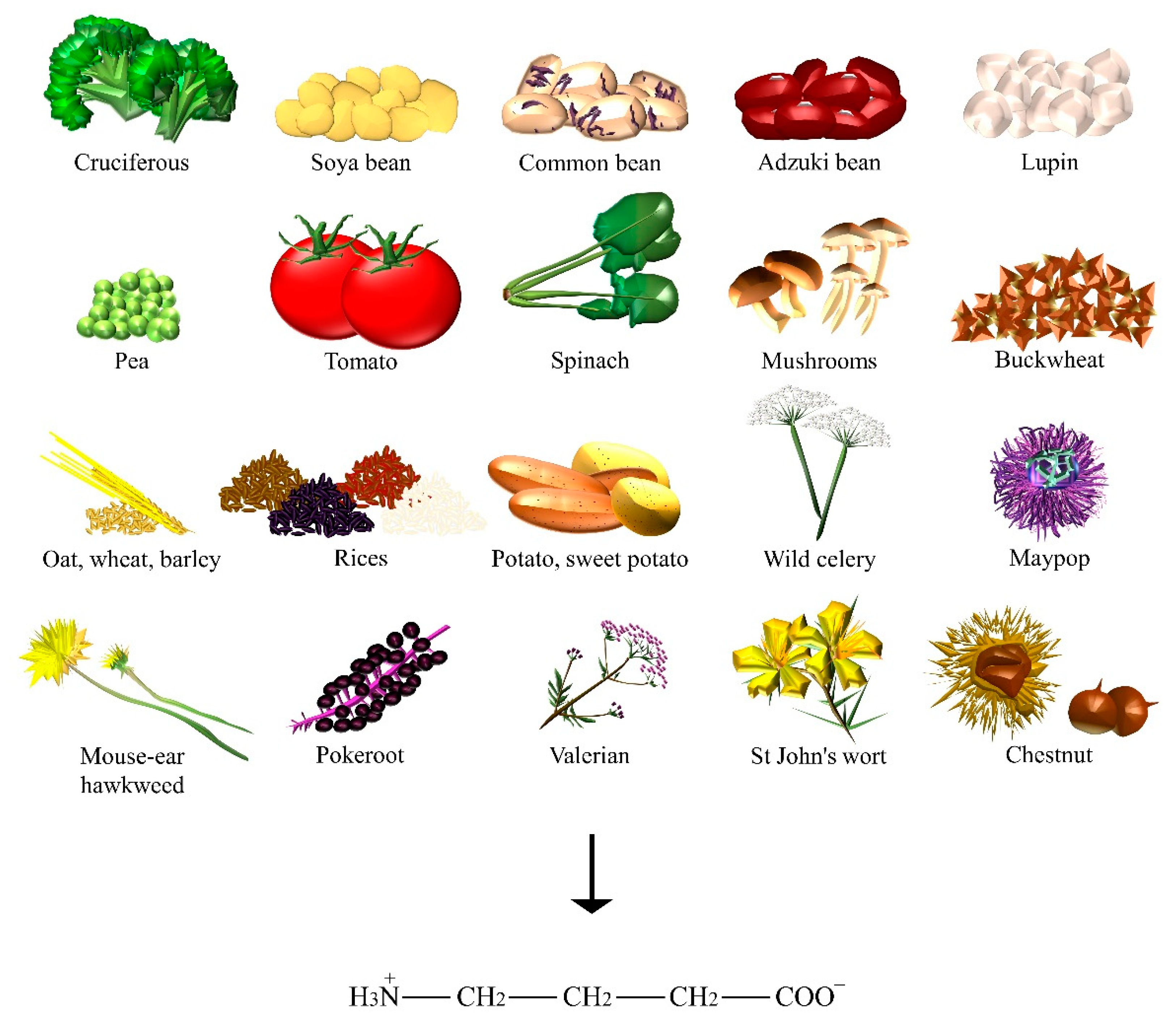 Nutrients 10 00591 g003