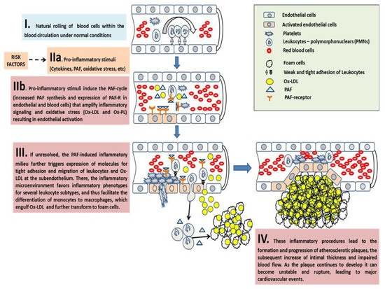 Nutrients 10 00604 g004 550
