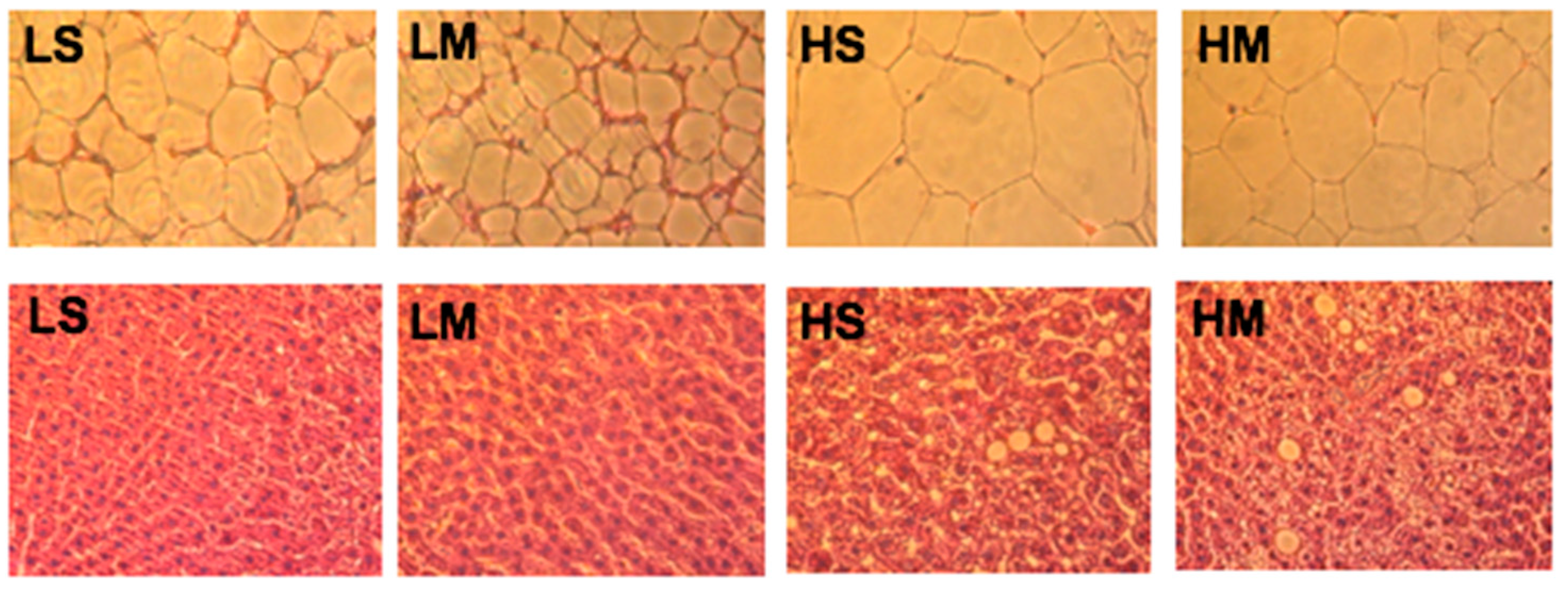 Nutrients 10 00963 g005