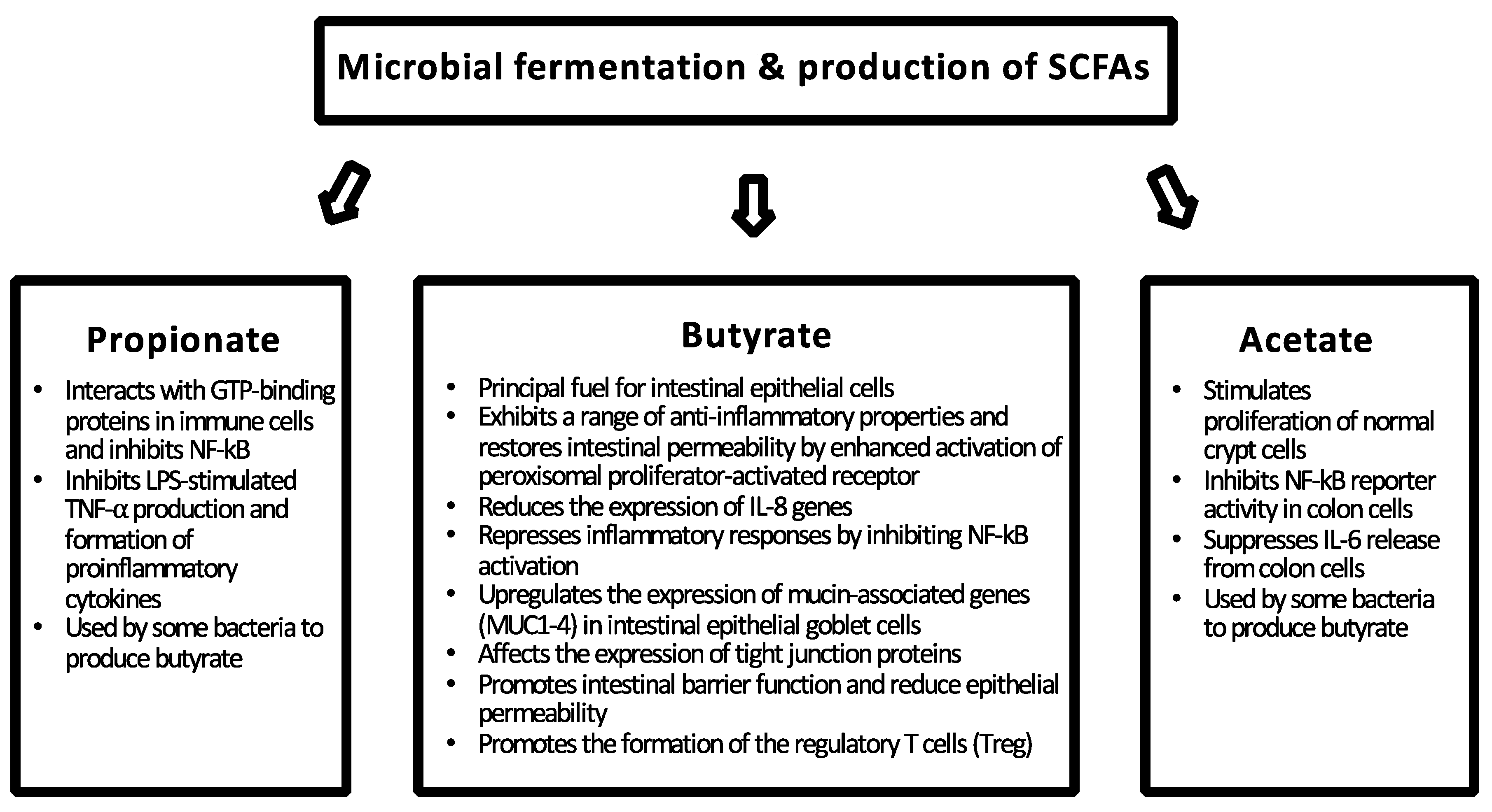 Nutrients 10 00988 g002