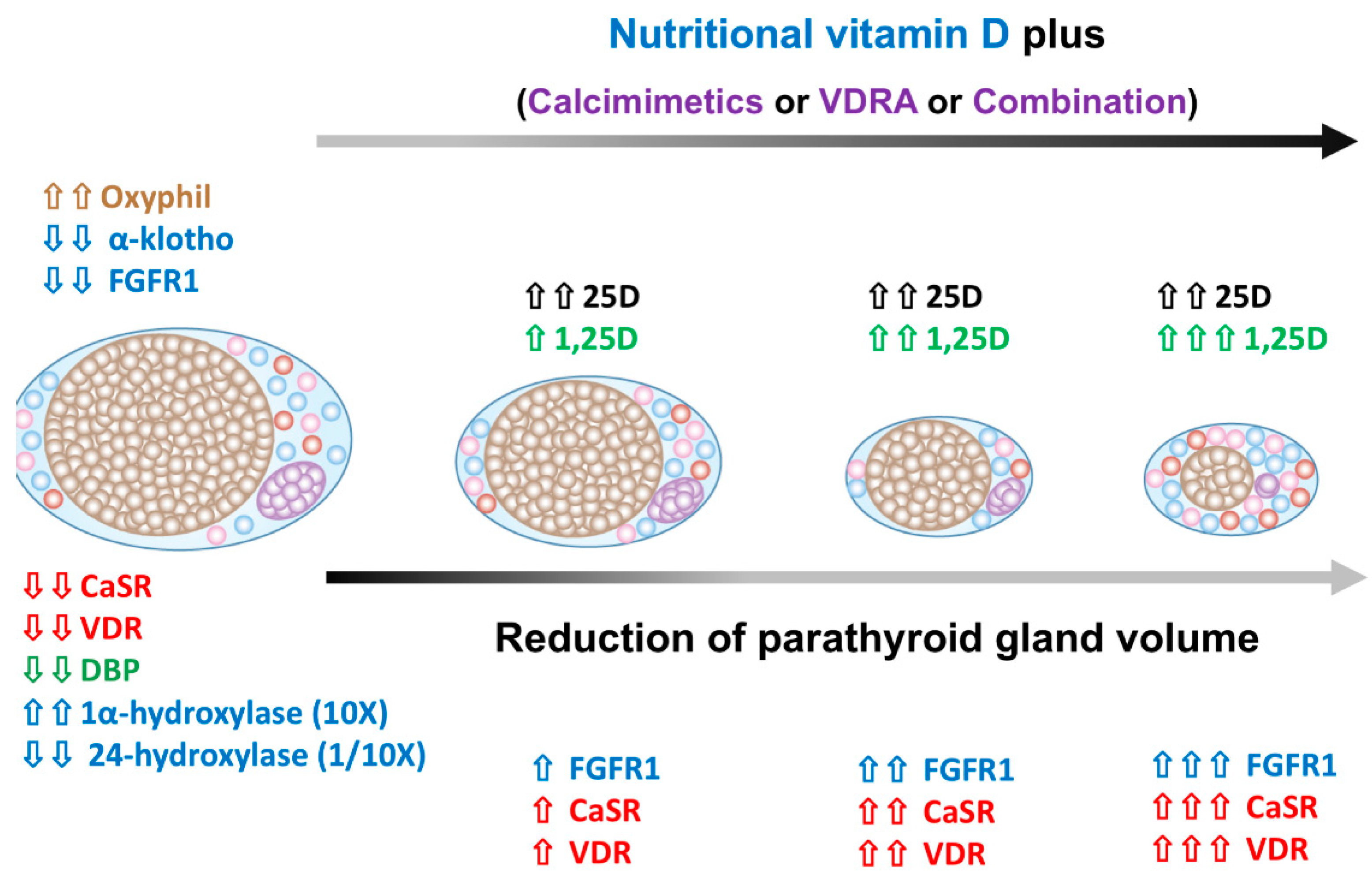 Nutrients 10 01890 g002