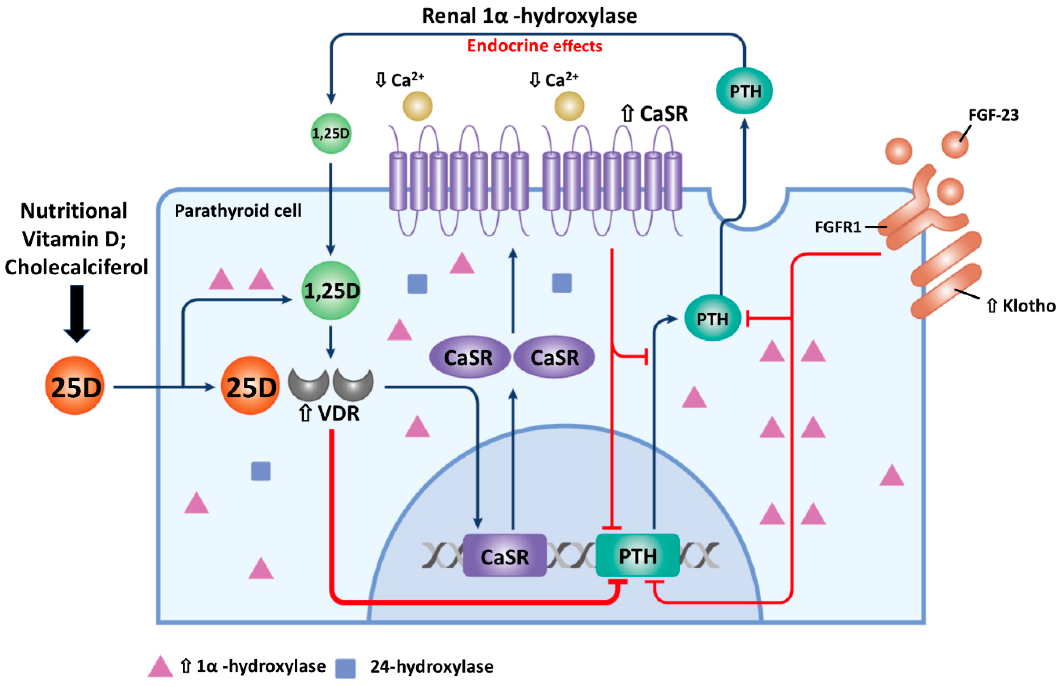 Nutrients 10 01890 g003